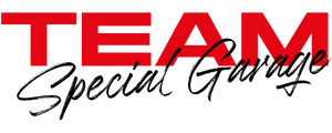 team logo